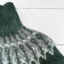Load image into Gallery viewer, The Alder Jumper (forest green)