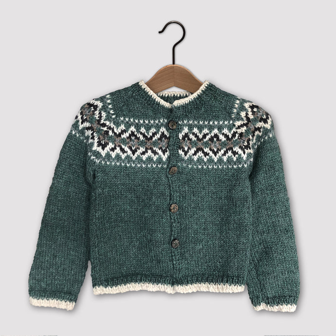 Intricate Fair Isle cardigan (green/multi)